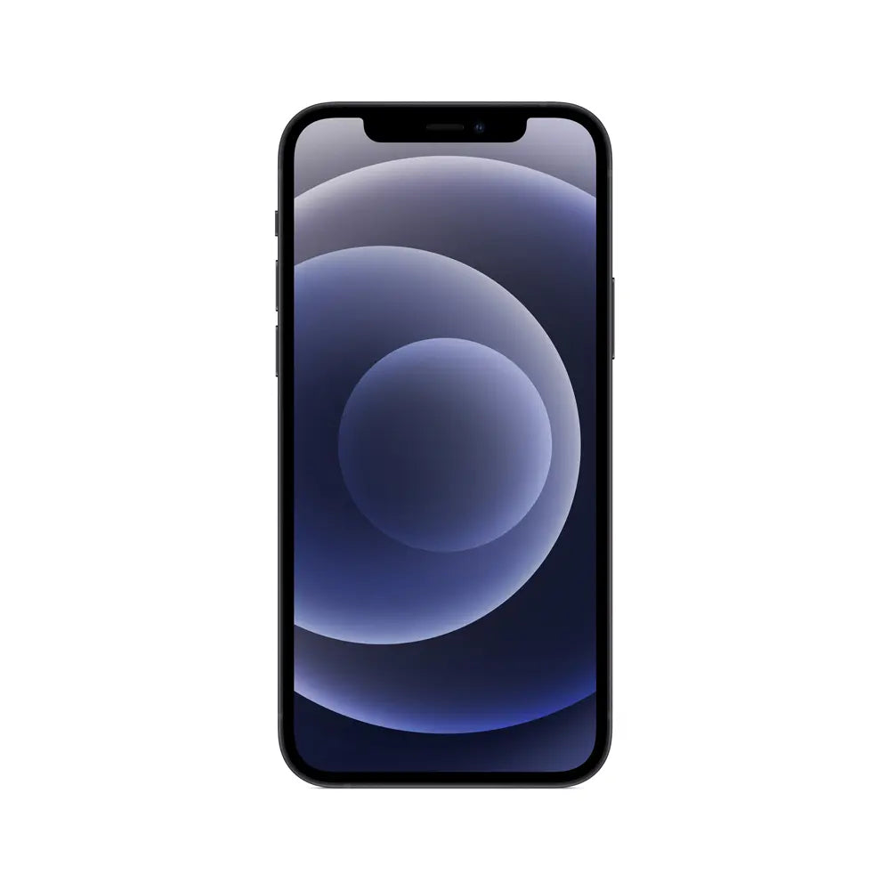 iPhone 12 256 GB